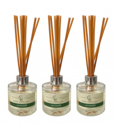 Reed Diffuser Oil Based 100ml lAVENDER Pack of 3