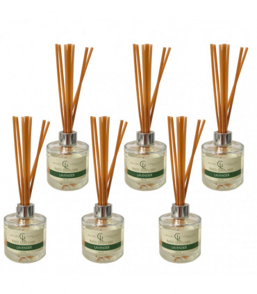 Reed Diffuser Oil Based 100ml lAVENDER Pack of 6