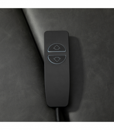 Riser and Recliner Chair, Lift Chair for Living Room w/ Remote, Grey HOMCOM