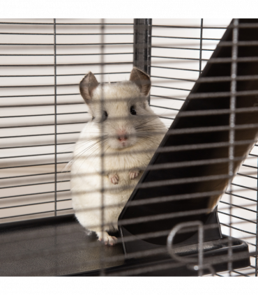 Rolling Small Animal Cage for Chinchillas Ferrets Kittens w/ Platform Ramp Tray