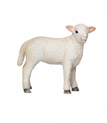 Romney Sheep Lamb Standing  Farm Animal Figurine