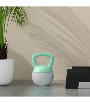 SPORTNOW 6KG Kettlebell with Soft Body and Non-Slip Handle, Grey and Green