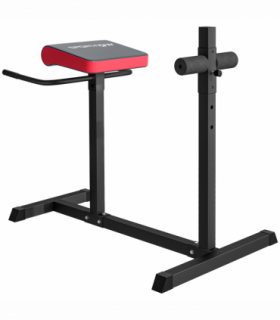 SPORTNOW Back Extension Roman Chair for Back, Abdominal and Gluteal Training