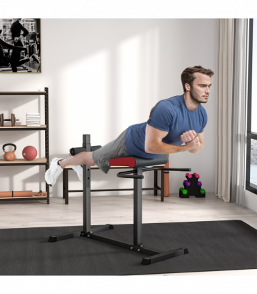 SPORTNOW Back Extension Roman Chair for Back, Abdominal and Gluteal Training