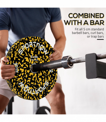SPORTNOW Olympic Weight Plates with 5cm Holes for Weight Lifting, 2 x 15kg