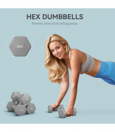 SPORTNOW Set of 2 Hexagonal Dumbbells Weights Pair, 2 x 6kg, Grey
