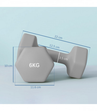 SPORTNOW Set of 2 Hexagonal Dumbbells Weights Pair, 2 x 6kg, Grey