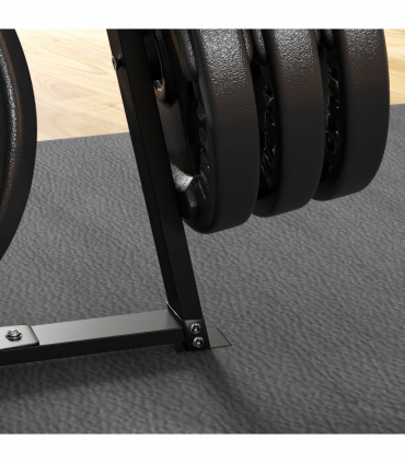 SPORTNOW Weight Plate Storage Rack with 6 Fasten Clamps, Max Load 300kg