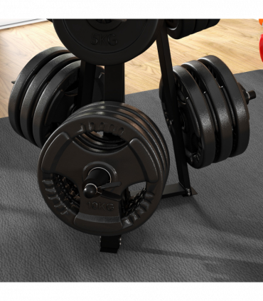 SPORTNOW Weight Plate Storage Rack with 6 Fasten Clamps, Max Load 300kg