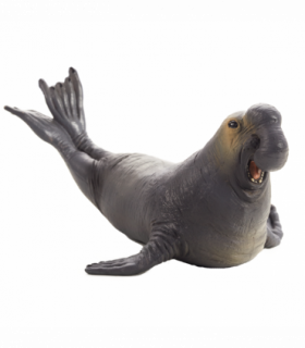 Sea Elephant Toy Figure  Realistic Marine Mammal
