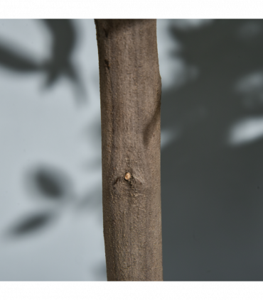 Set Of 2 90cm/3FT Artificial Bay Laurel Topiary Trees w/Pot Fake Plant