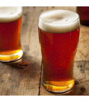 Vinsani Tulip Beer Glasses 6pcs 0000110