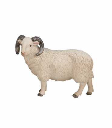Sheep Ram Toy  Realistic Farm Animal Model