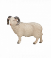Sheep Ram Toy  Realistic Farm Animal Model