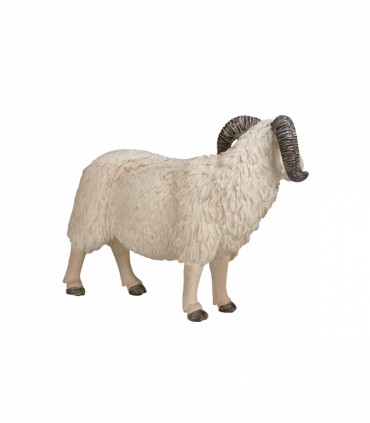 Sheep Ram Toy  Realistic Farm Animal Model