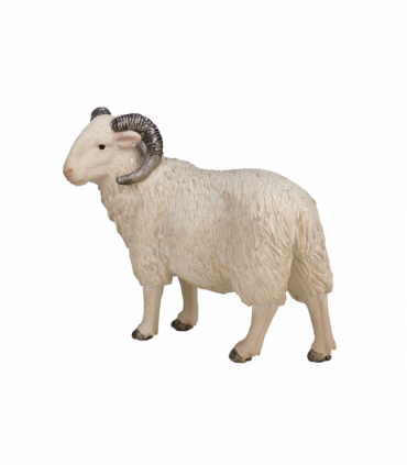 Sheep Ram Toy  Realistic Farm Animal Model