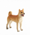 Shiba Inu Toy  Realistic Pet Dog Model
