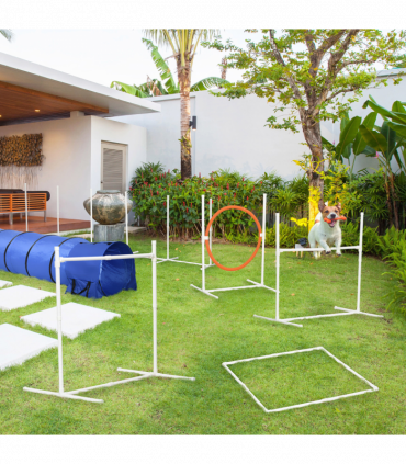 Six-Piece Dog Agility Equipment Set with Carry Bag - Multicoloured