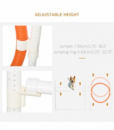 Six-Piece Dog Agility Equipment Set with Carry Bag - Multicoloured