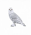 Snowy Owl Toy  Realistic Arctic Bird Model