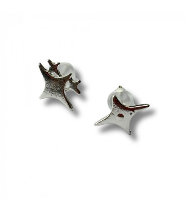 Sparkling Star Silver Stud Earrings