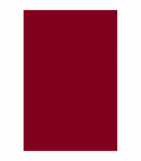 Stylish Wet Look PU Faux Leather Tie-Up Joggers - Elevate Your Outfit