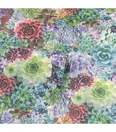 Succulent Living Wall Multi sw12