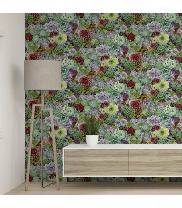 Succulent Living Wall Multi sw12