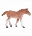 Suffolk Punch Foal Toy  Realistic Horse Figurine