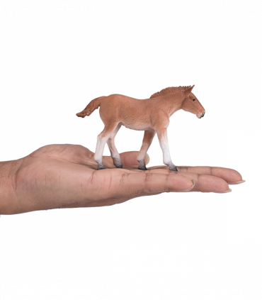 Suffolk Punch Foal Toy  Realistic Horse Figurine