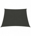 vidaXL Sunshade Sail 160 g/m² Anthracite 3/4x3 m HDPE