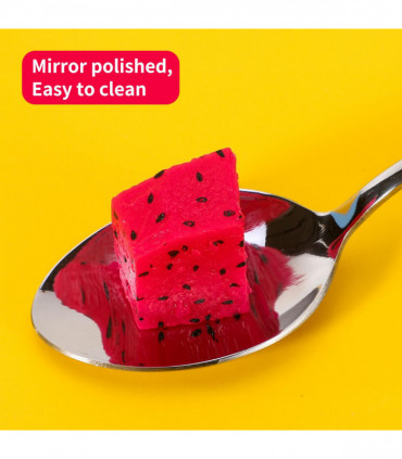 Vinsani 6pcs SS Tea Spoons 1010091