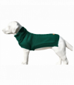 The Jazz Dog Jumper in Green