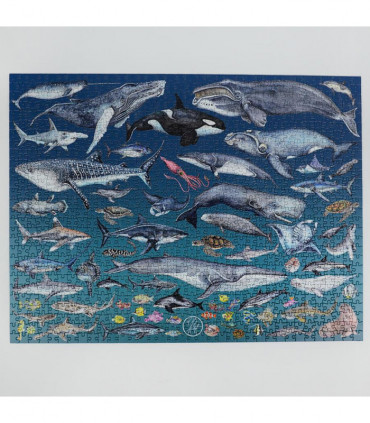 The Ocean 1000 Piece Jigsaw Puzzle
