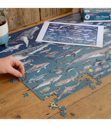 The Ocean 1000 Piece Jigsaw Puzzle