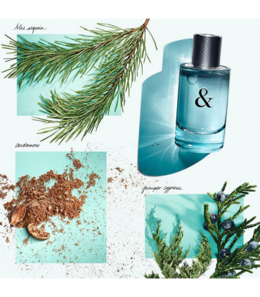 Tiffany & Co Tiffany & Love Eau De Toilette Spray 90ml