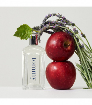 Tommy Hilfiger Men Eau De Toilette Spray 100ml