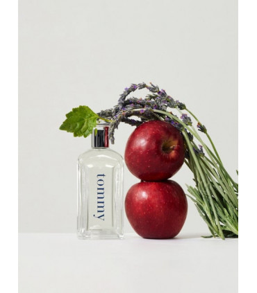 Tommy Hilfiger Men Eau De Toilette Spray 200ml