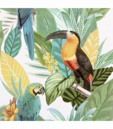 Toucan Jungle Multi sw12