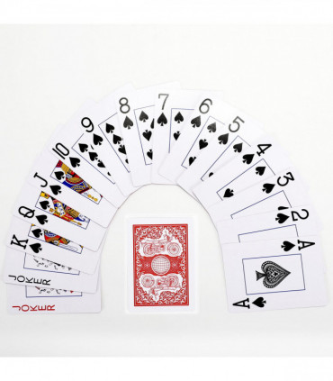 Vinsani Traditional Motorbike Poker Casino Plastic Coated Playing Cards 6 Decks