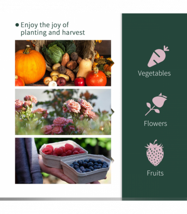 Tunnel Greenhouse Green Grow House Steel Frame Garden Outdoor 200 x 100 x 80cm