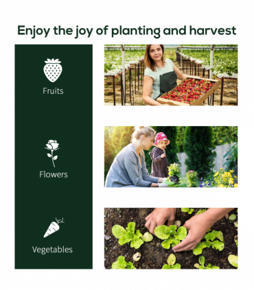 Tunnel Greenhouse Steel Frame, PE Cover, Transparent, 200 x 100 x 80cm