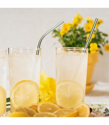 VINSANI STAINLESS STEEL STRAWS 0009023