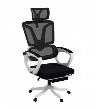 Vinsetto Mesh Office Chair for Home with Lumbar Support, Arm, Footrest, Headrest