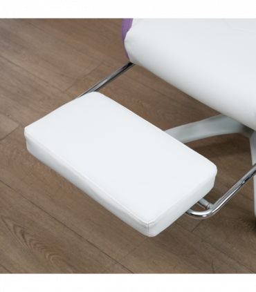 Vinsetto Racing Style Gaming Chair with Reclining Function Footrest, Purple