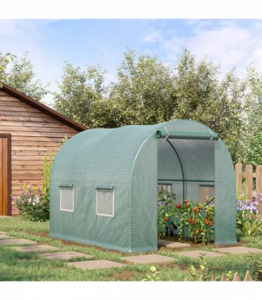 Walk-in Tunnel Greenhouse