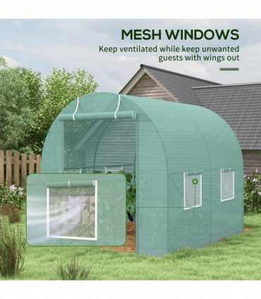 Walk-in Tunnel Greenhouse