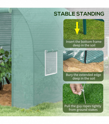 Walk-in Tunnel Greenhouse