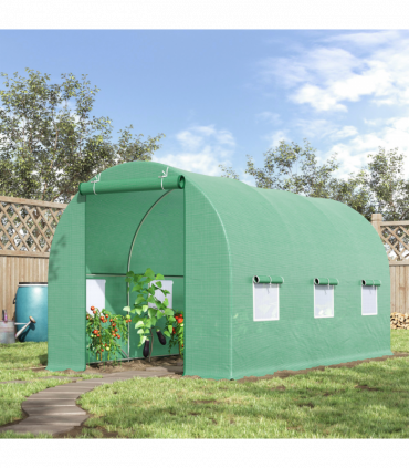 Walk-in Tunnel Greenhouse