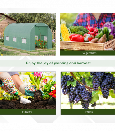 Walk-in Tunnel Greenhouse